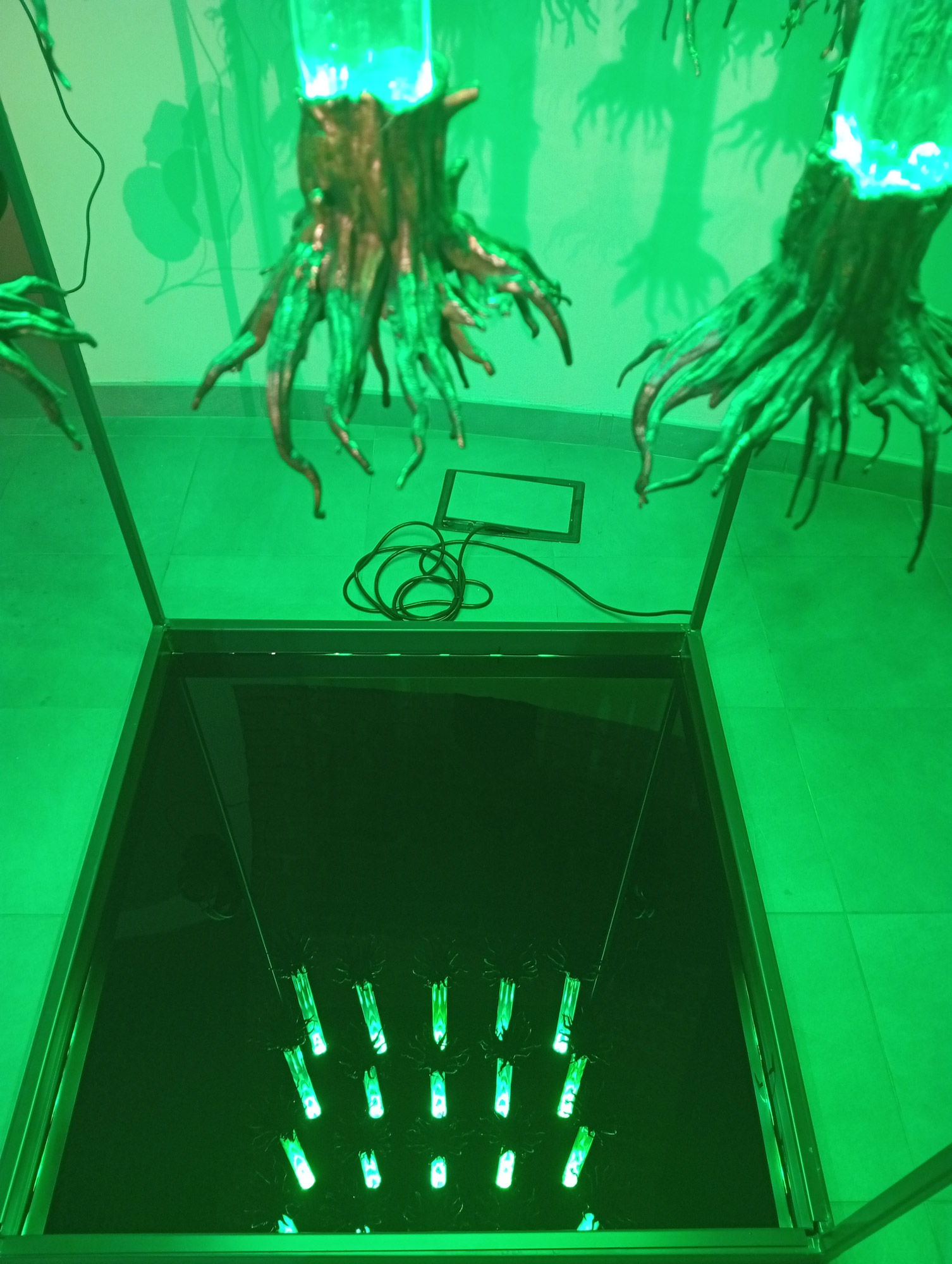 IMG_20260525_122943 iForest 2